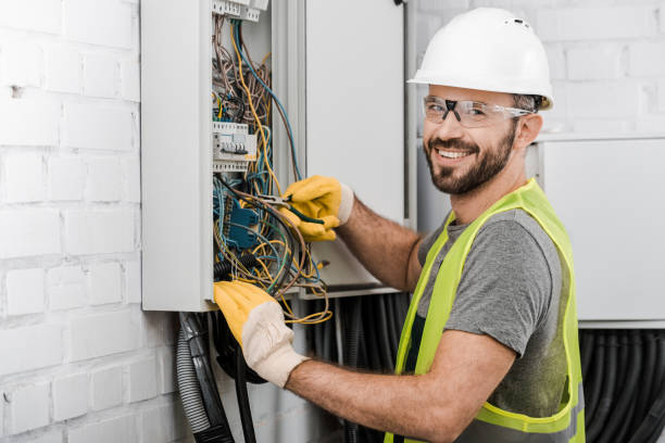 Best Electric Panel Repair  in Dunlap, IN