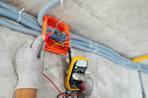 Best Electric Panel Repair  in Dunlap, IN